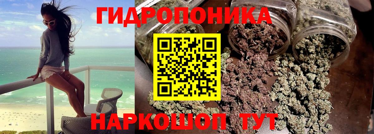 МАРИХУАНА марихуана  Вход с VPN  Марихуана AK-47  Гурьевск  Марихуана Amnesia 
