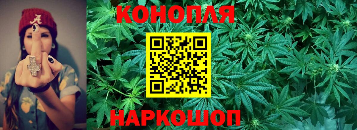 Марихуана сатива Гурьевск